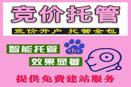 竞价广告在提升品牌知名度中的作用：XX品牌的成功故事